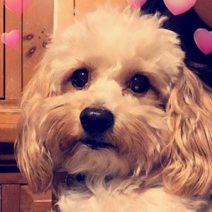 Meet your Posher, Bianca